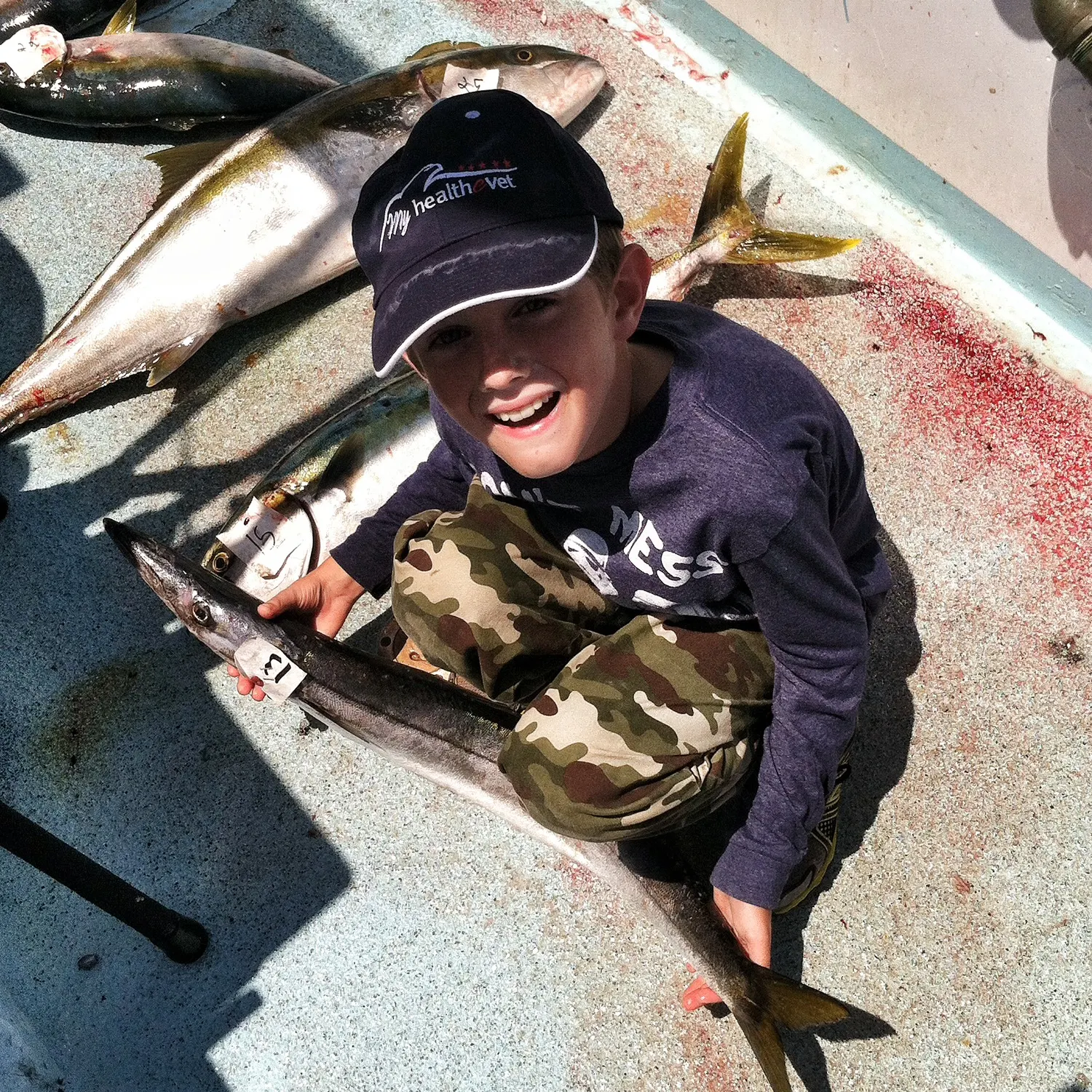The most recent Pacific barracuda catches on Fishbrain