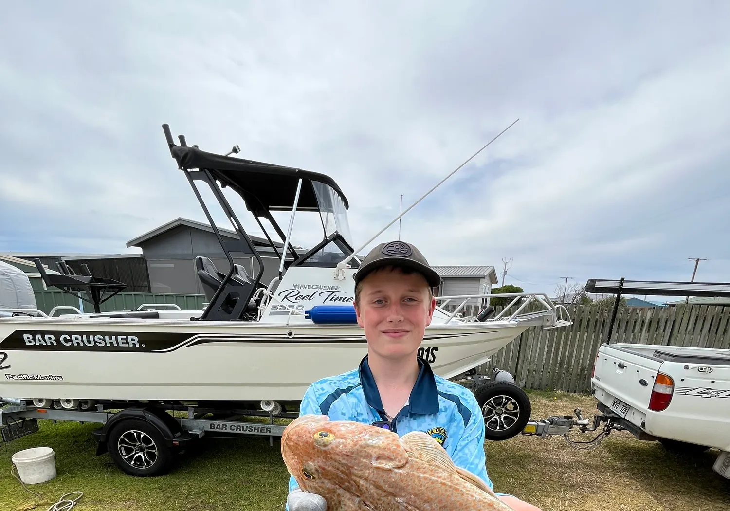 Tiger flathead