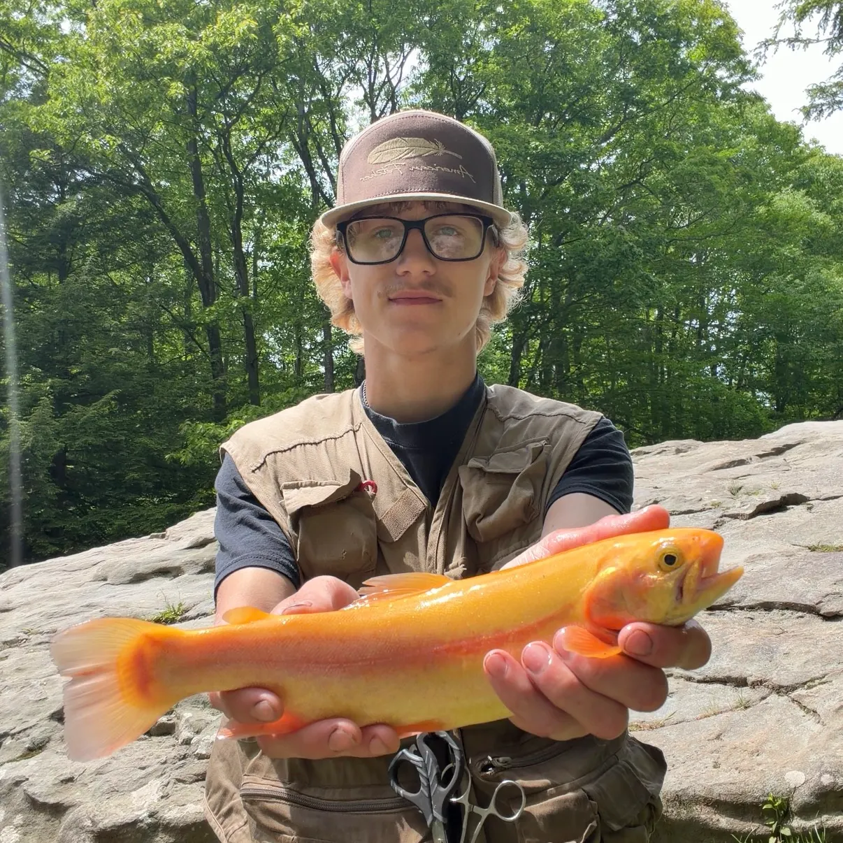 The most recent Golden rainbow trout catches on Fishbrain