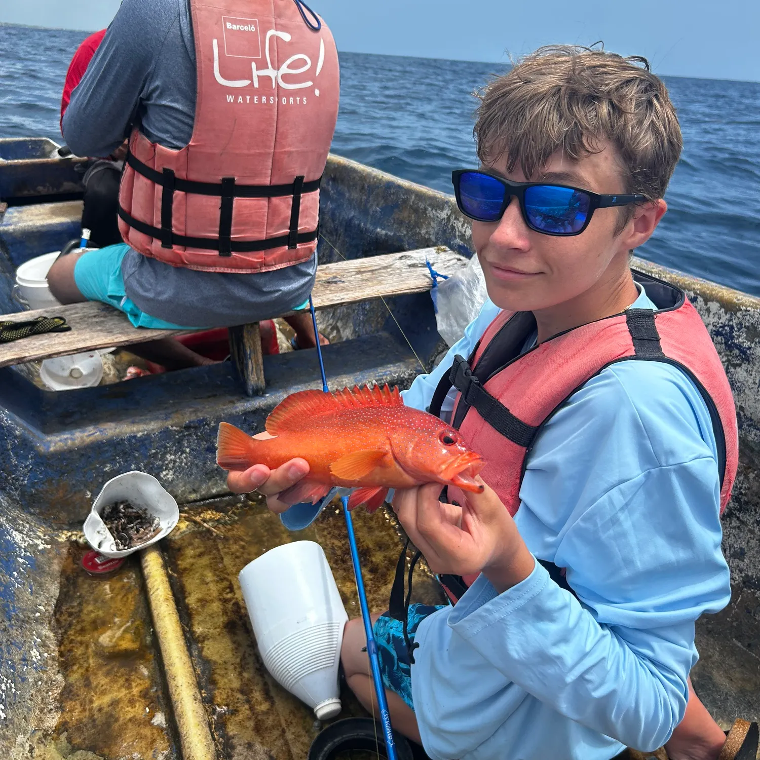 The most recent Coral hind catches on Fishbrain