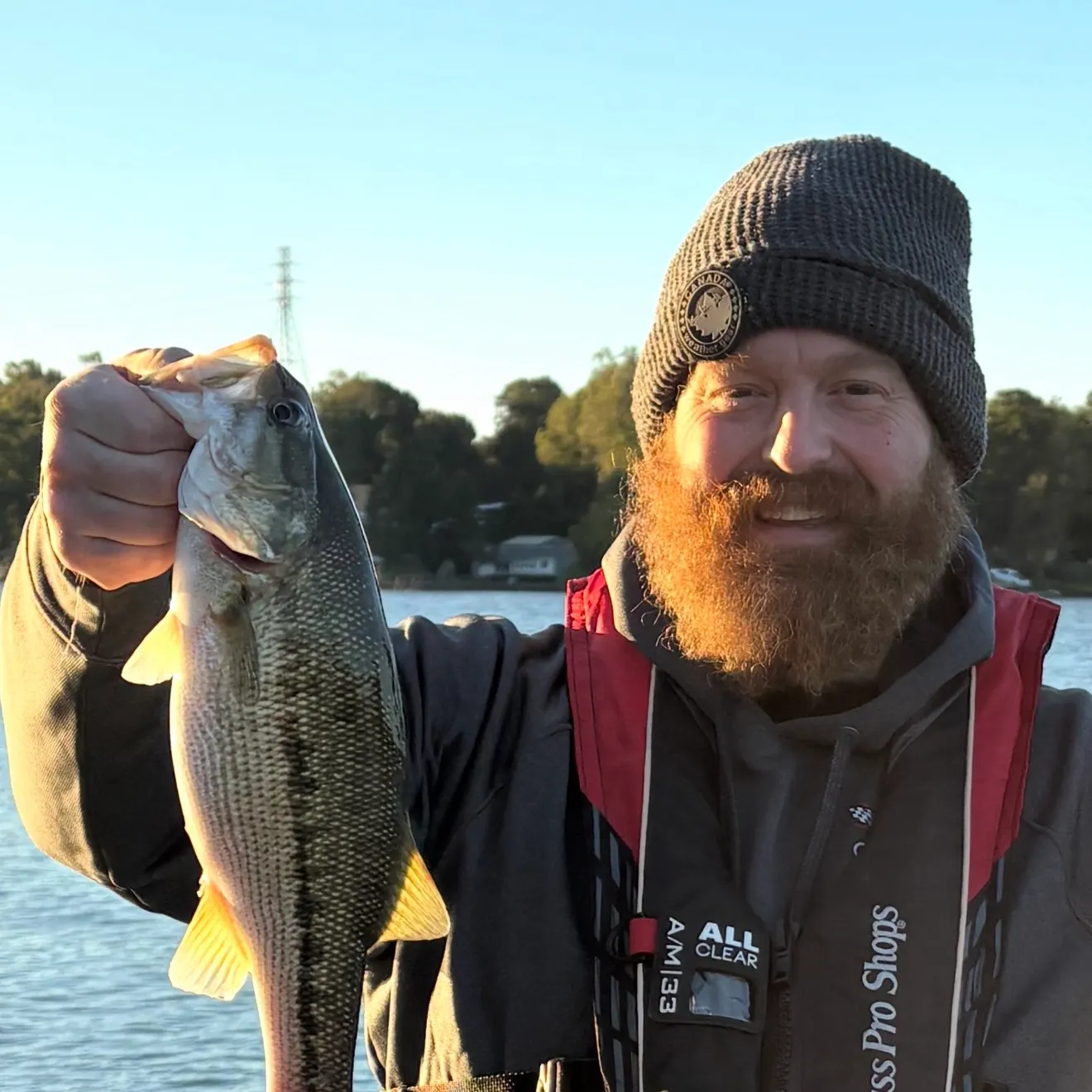 Spotted bass caught on Fishbrain