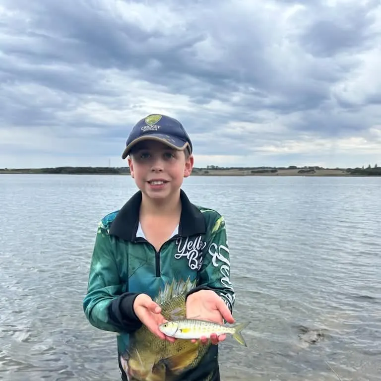 Eastern Australian salmon caught on Fishbrain