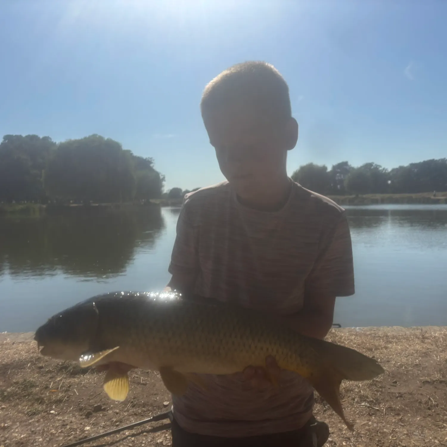 Common carp caught on Fishbrain