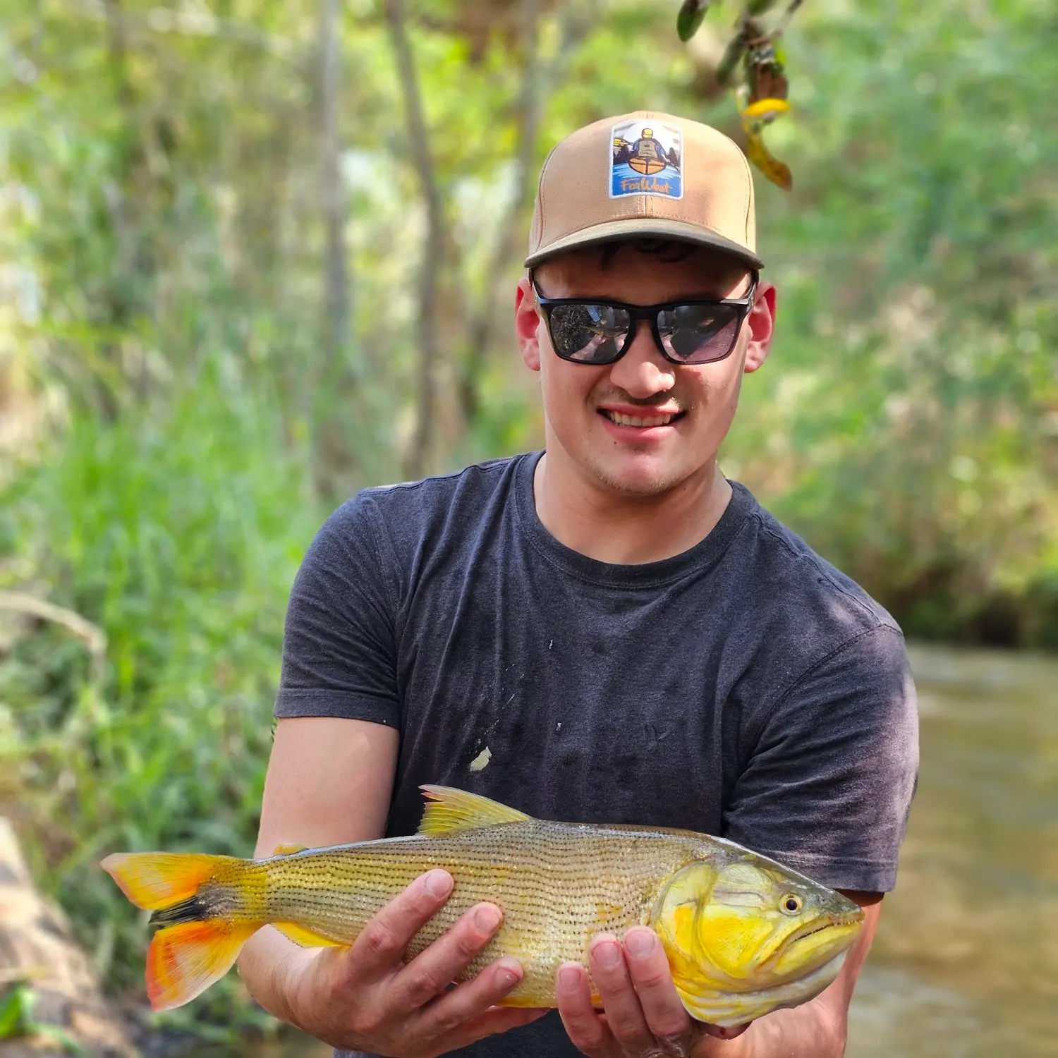 The most recent Golden dorado catches on Fishbrain