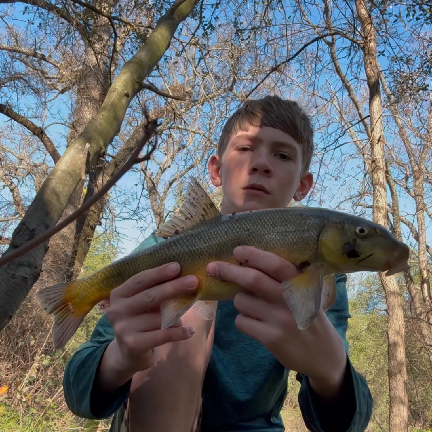 The most popular recent Sacramento sucker catch on Fishbrain