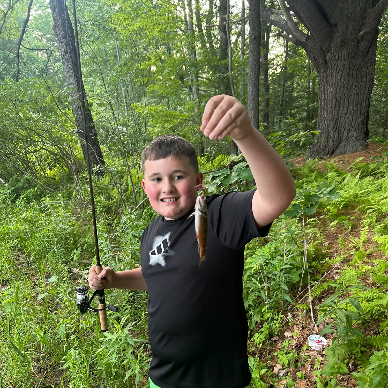 Brook trout caught on Fishbrain