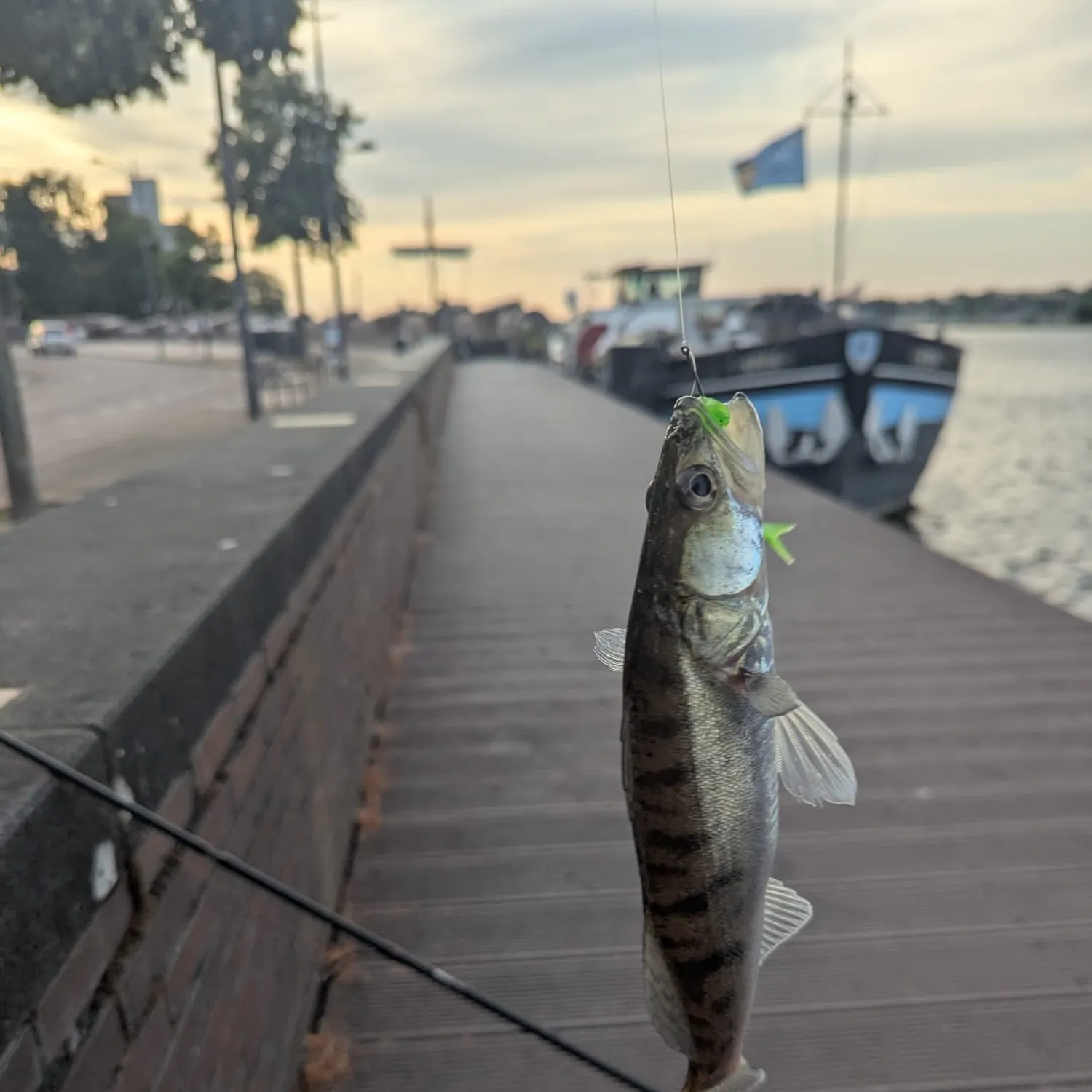 catch