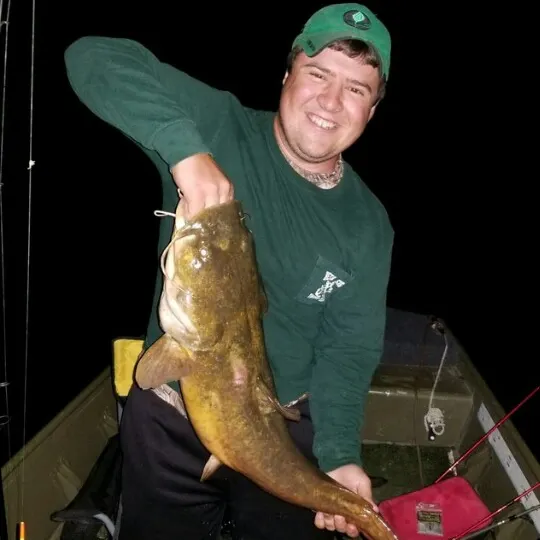 Flathead catfish caught on Fishbrain