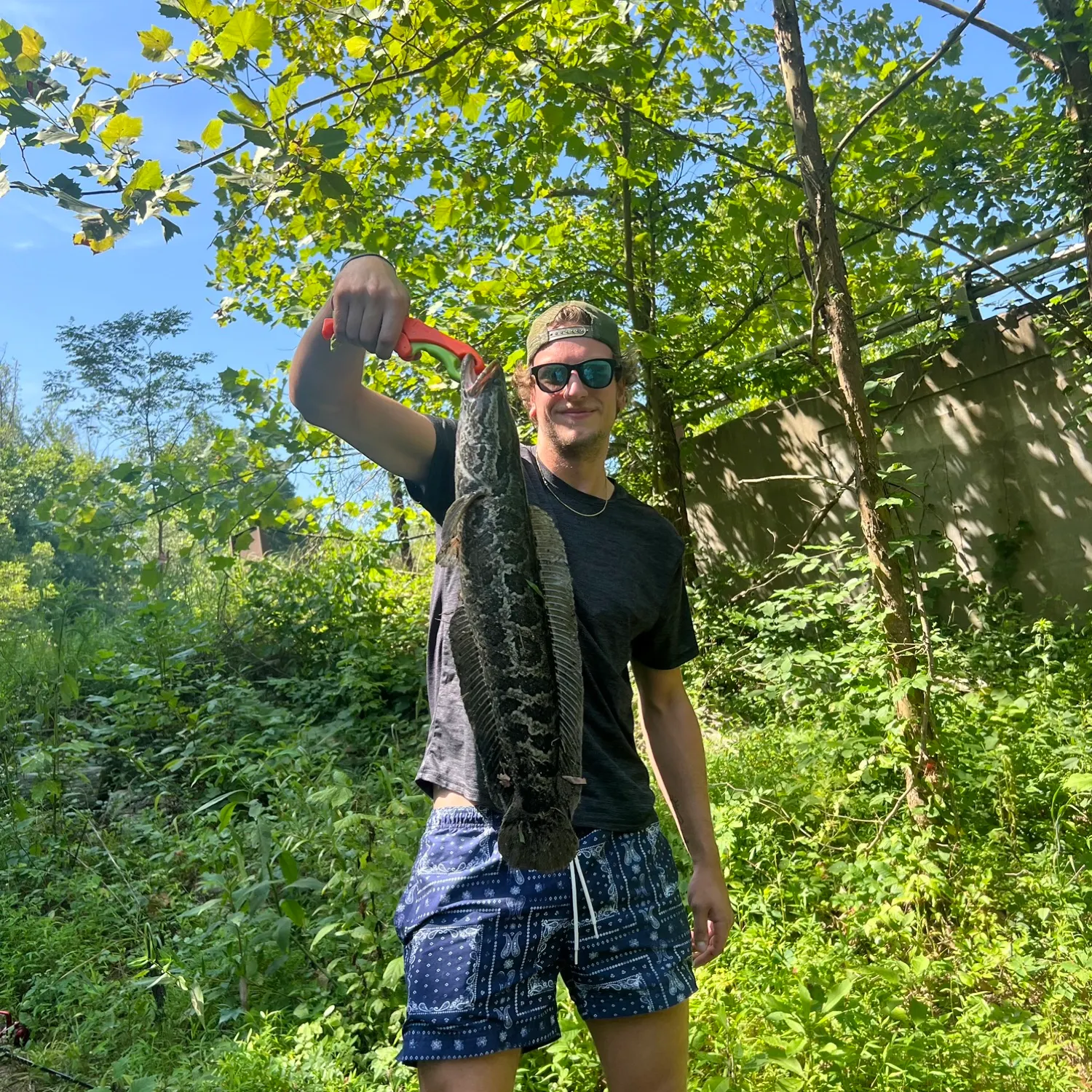 catch