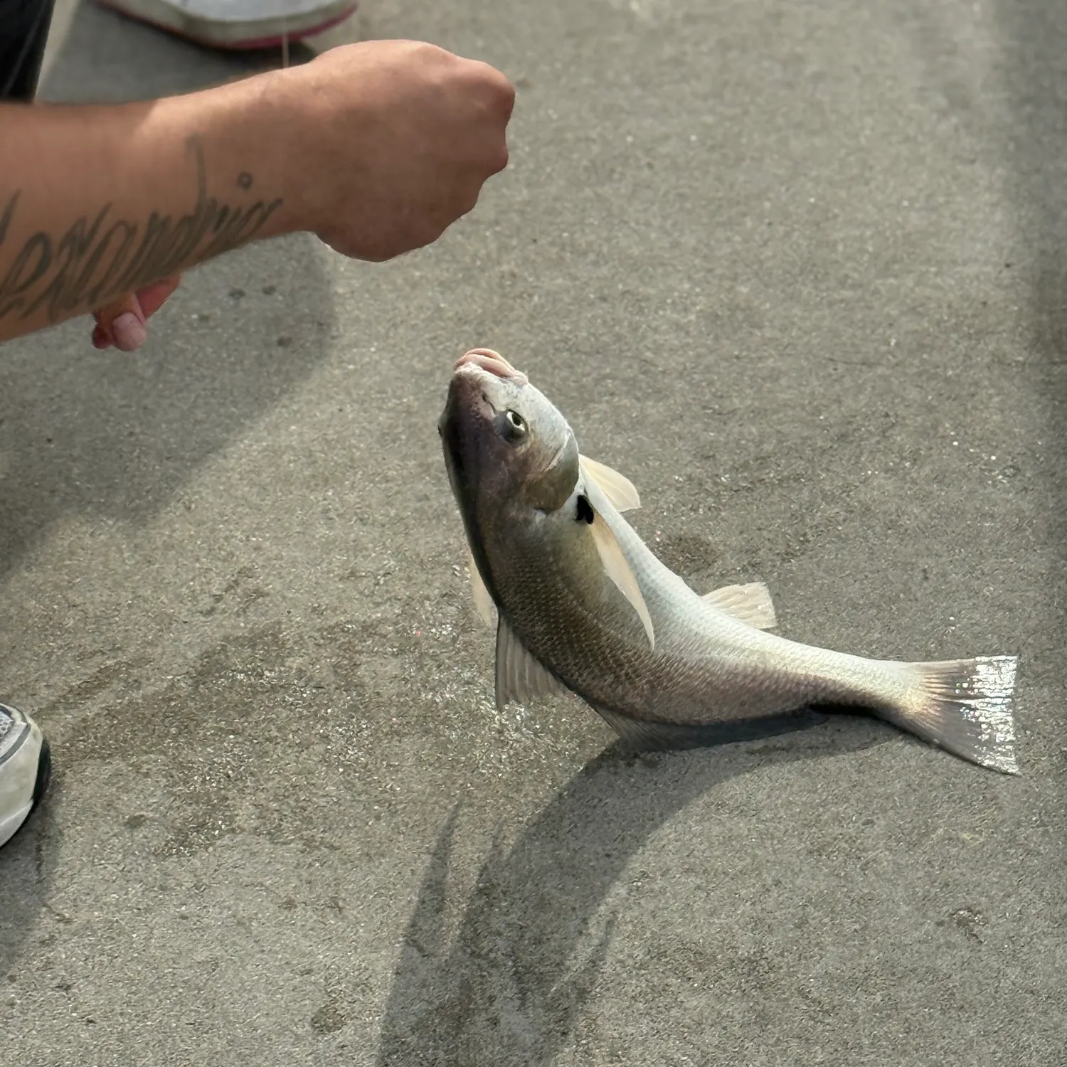 catch