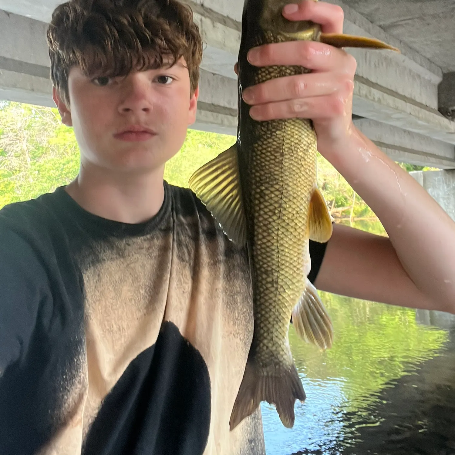 The most recent White sucker catches on Fishbrain