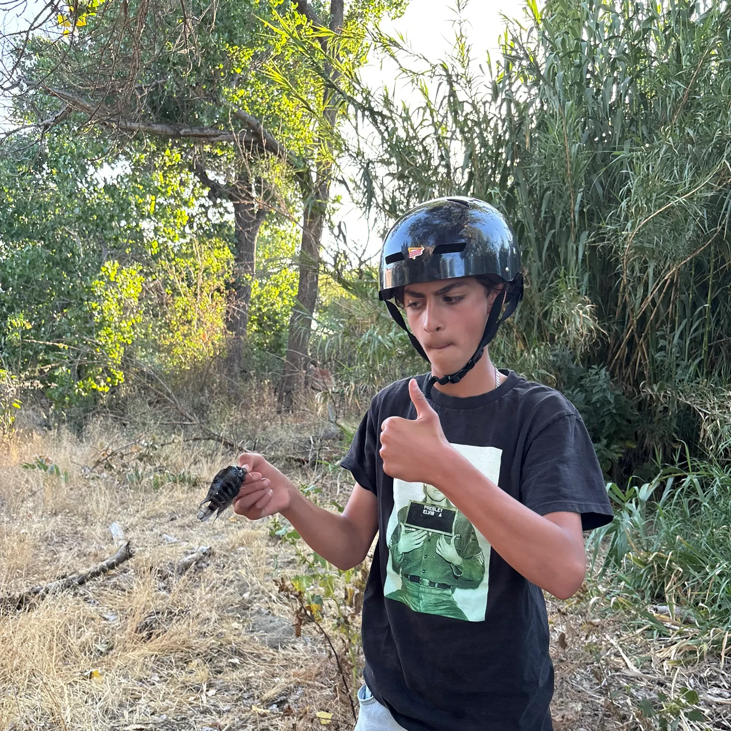 The most recent Convict cichlid catches on Fishbrain