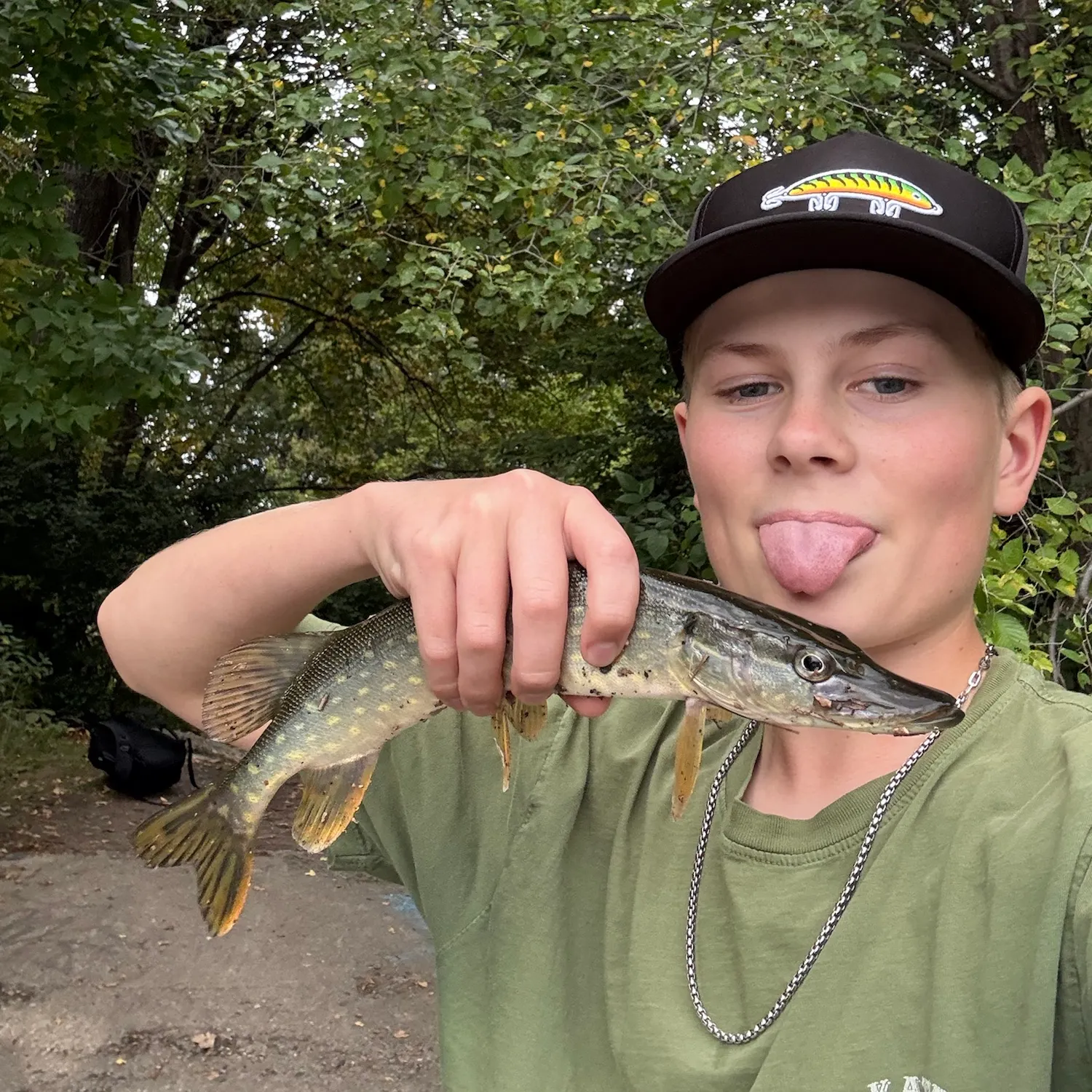 Northern pike caught on Fishbrain