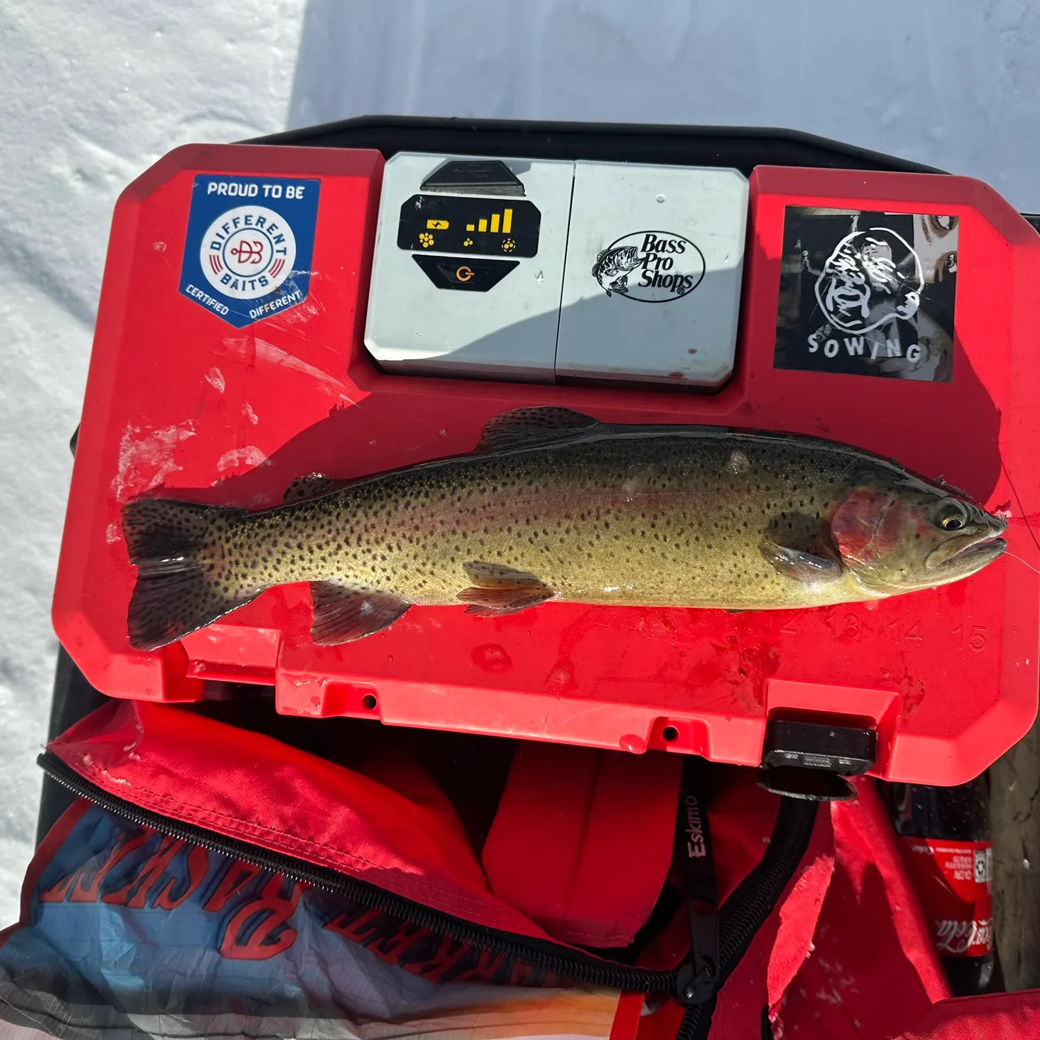 recently logged catches