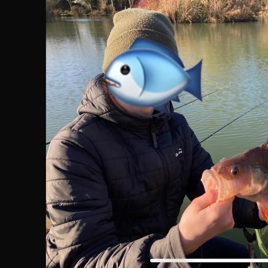 The most recent European perch catches on Fishbrain