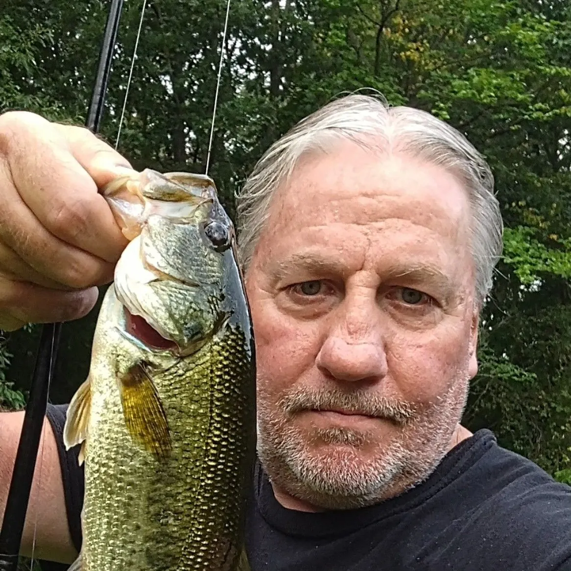 Largemouth bass caught on Fishbrain