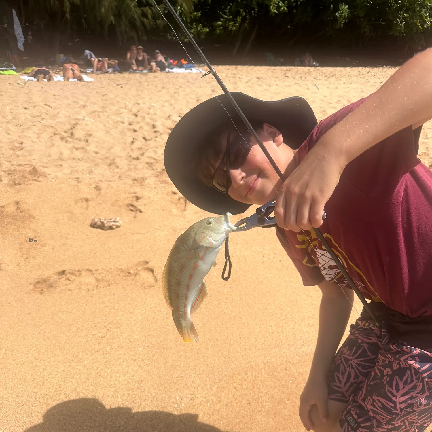 The most recent Christmas wrasse catches on Fishbrain