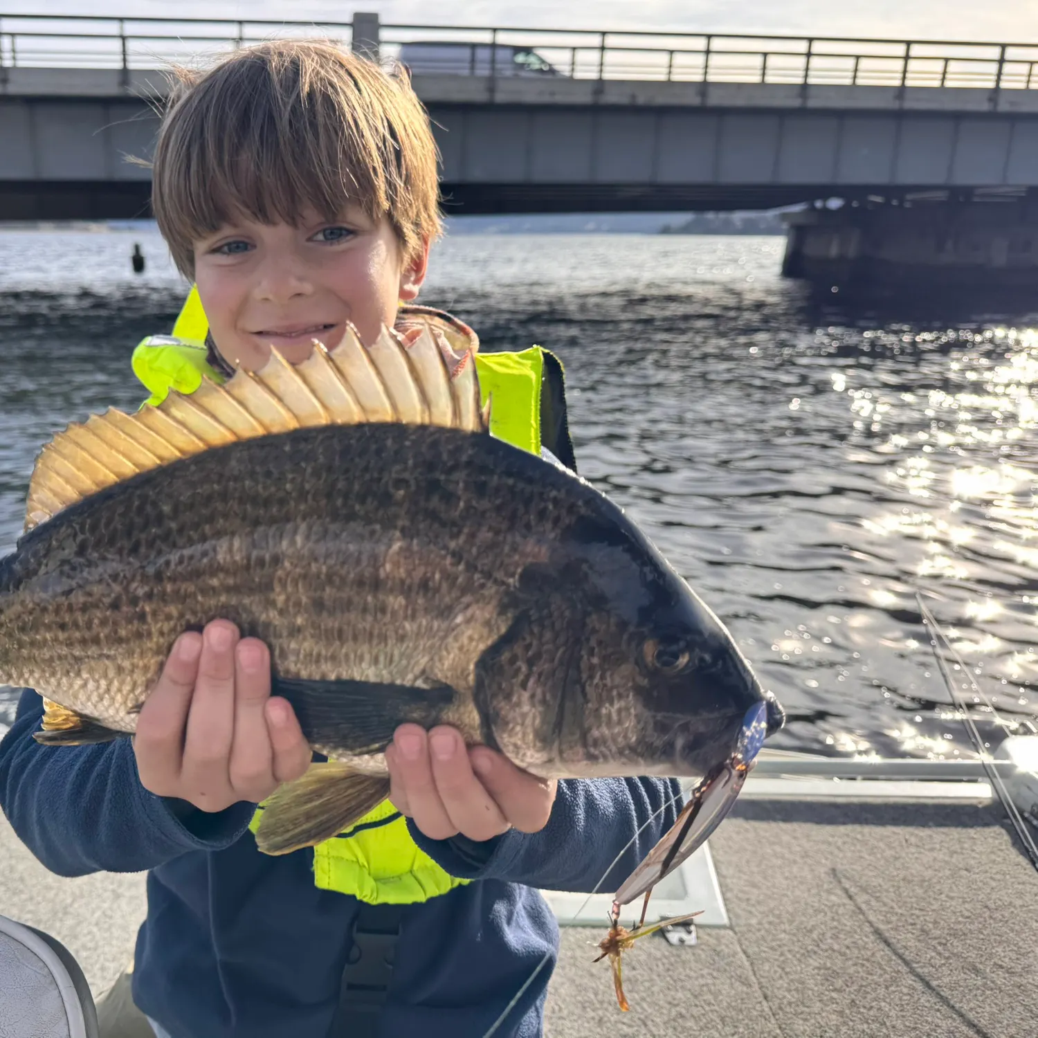 The most popular recent Southern black bream catch on Fishbrain
