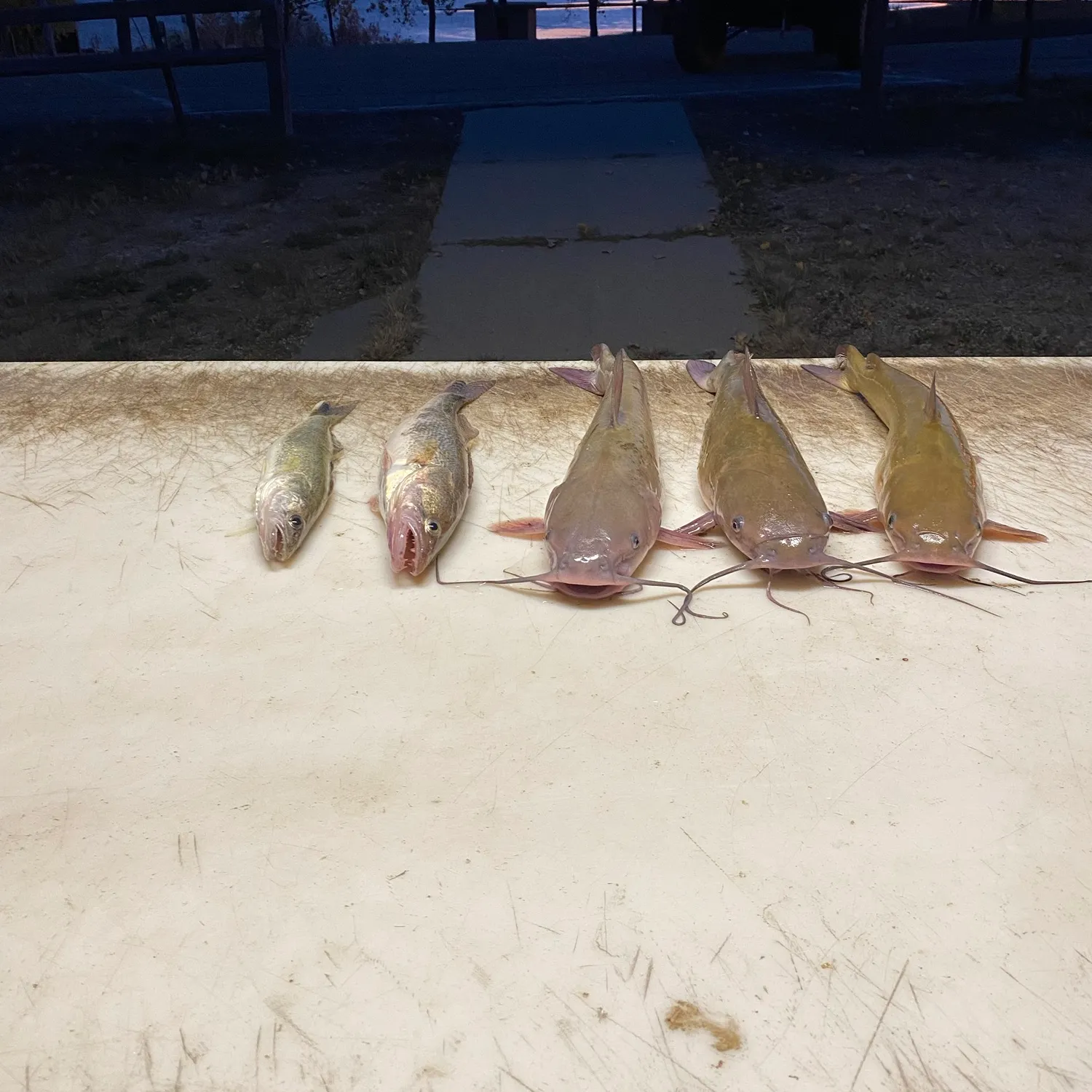 catch
