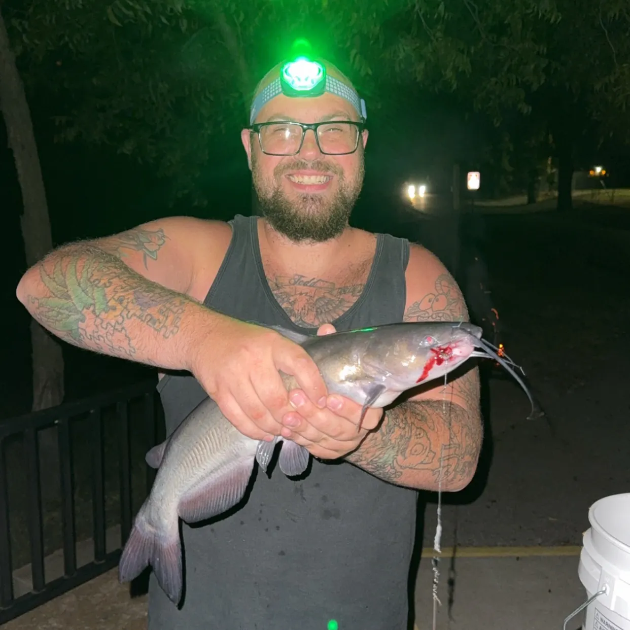 Channel catfish caught on Fishbrain