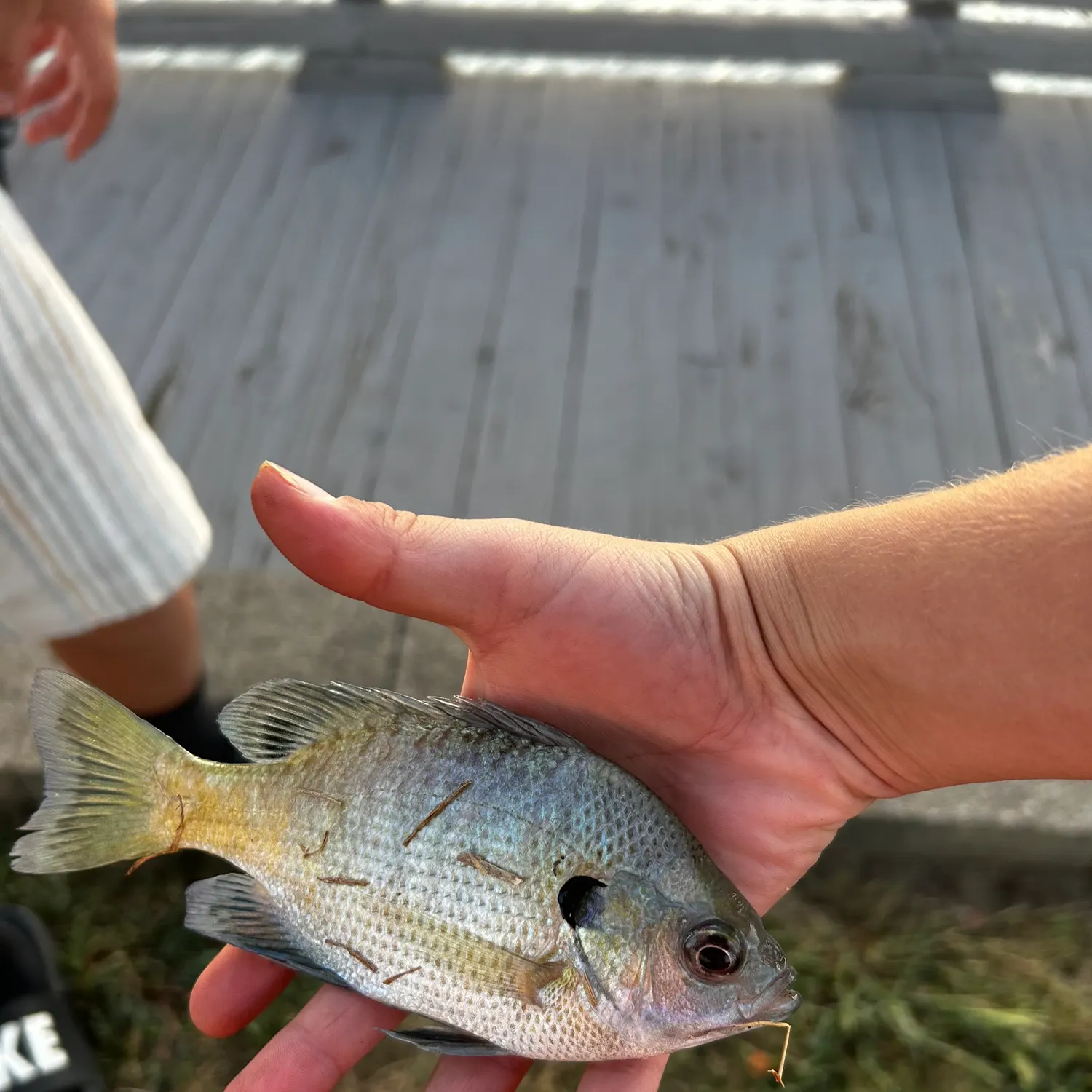 catch