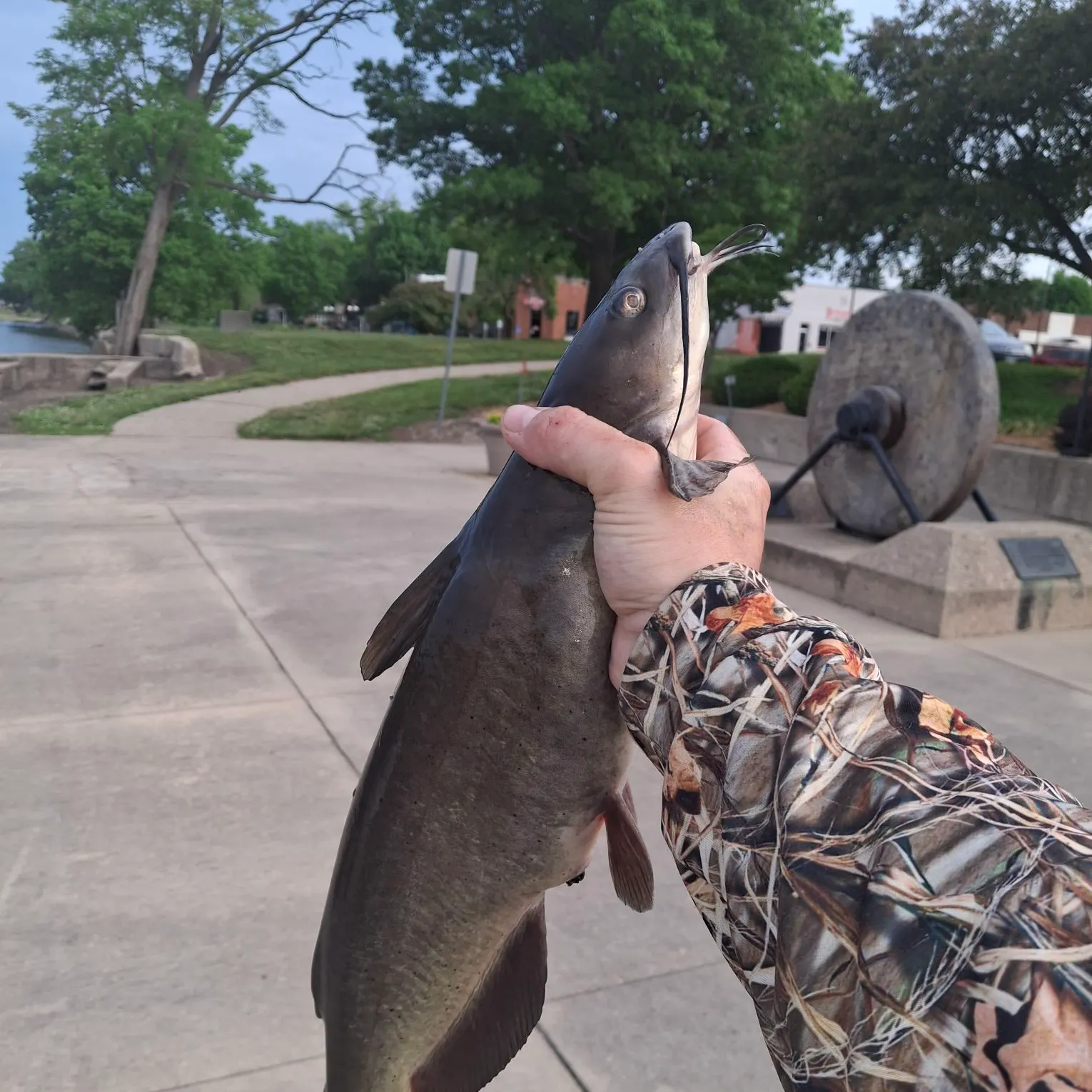 catch