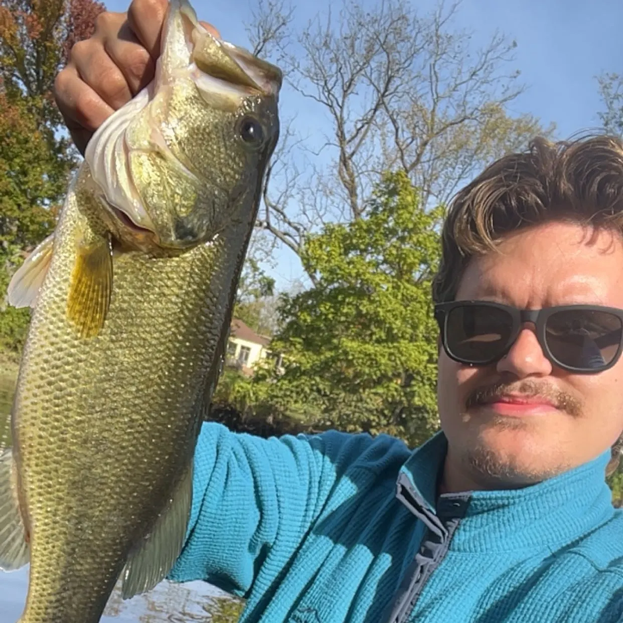 Largemouth bass caught on Fishbrain