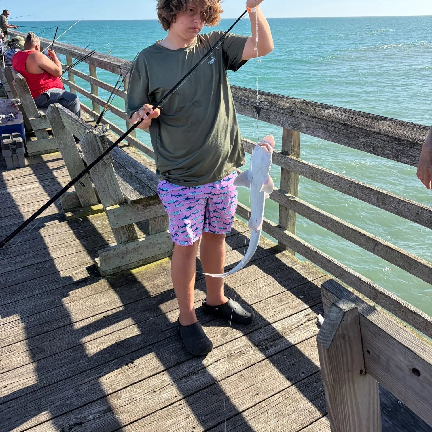 The most recent Piked dogfish catches on Fishbrain