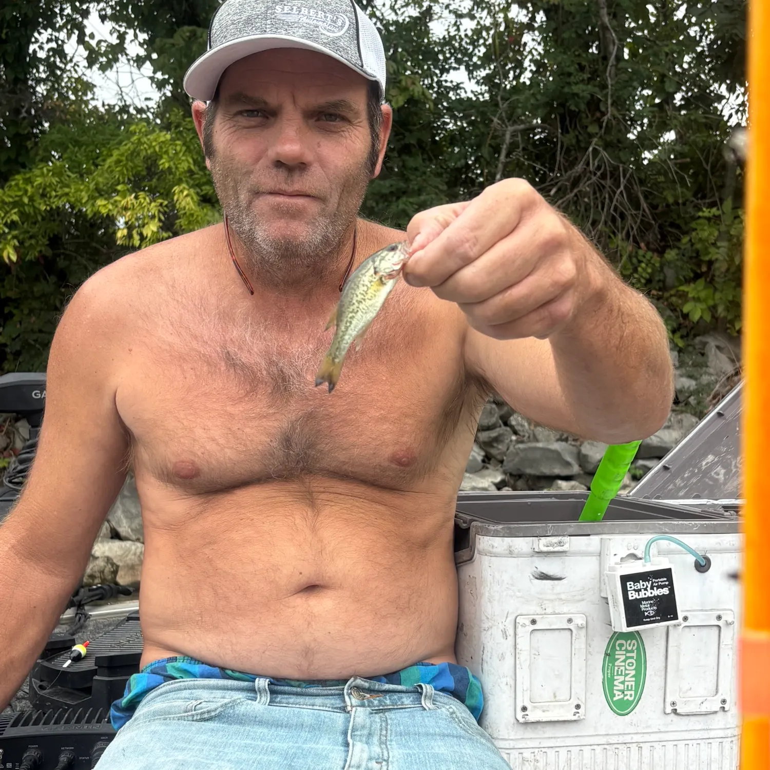 Grass pickerel caught on Fishbrain