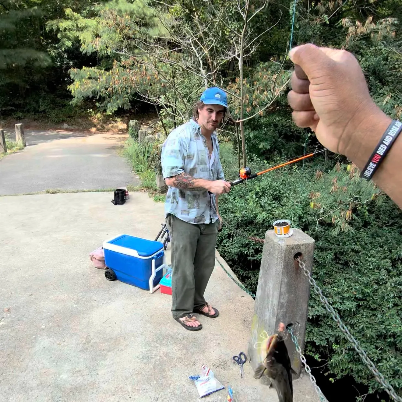 Black bullhead caught on Fishbrain