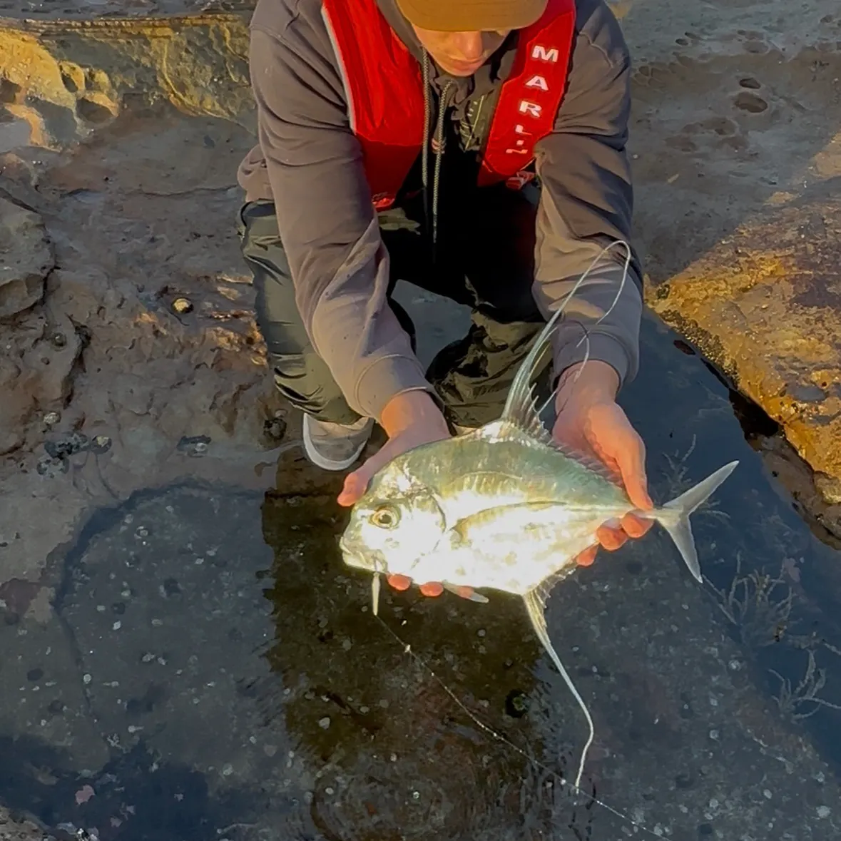 The most recent African pompano catches on Fishbrain