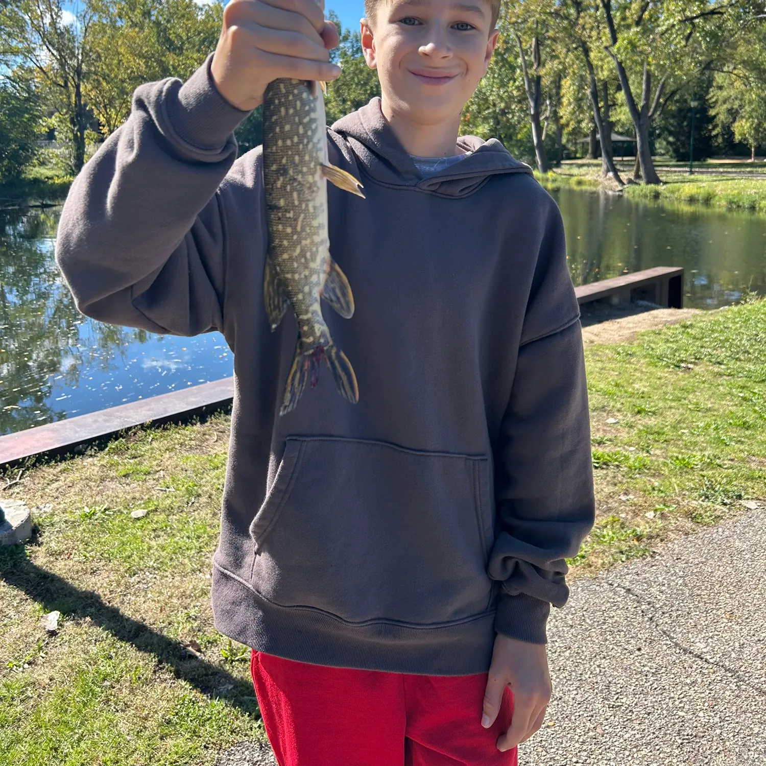Northern pike caught on Fishbrain