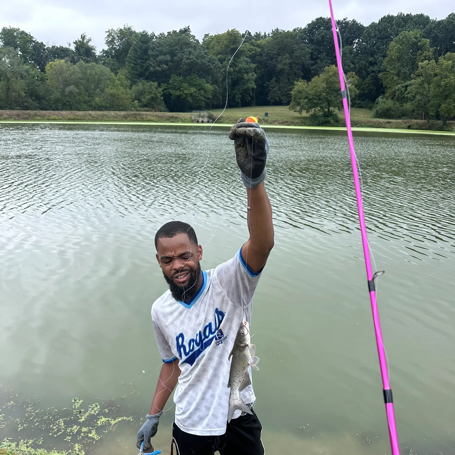 Channel catfish caught on Fishbrain