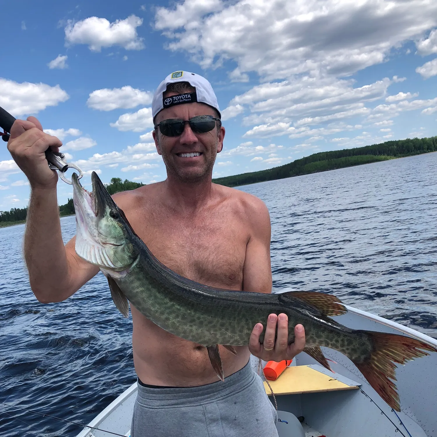 The most recent Muskellunge catches on Fishbrain