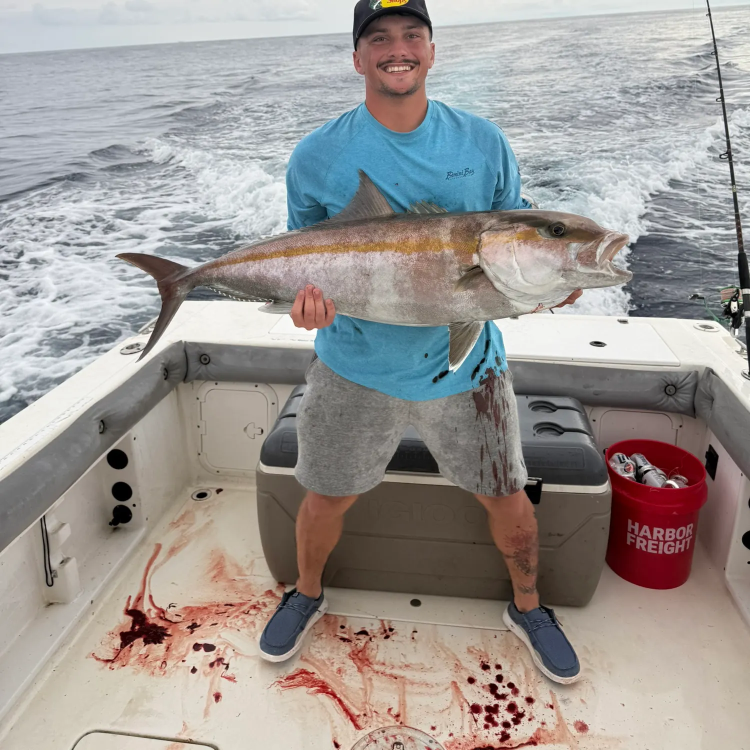 The most recent Greater amberjack catches on Fishbrain
