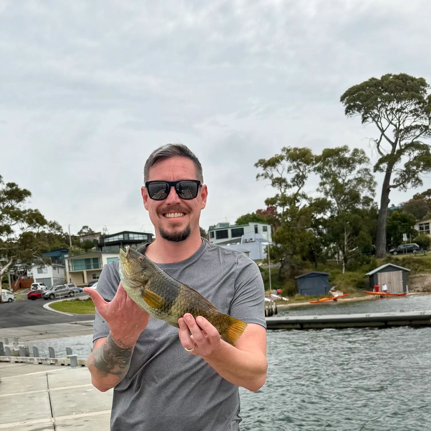 The most recent Rock wrasse catches on Fishbrain