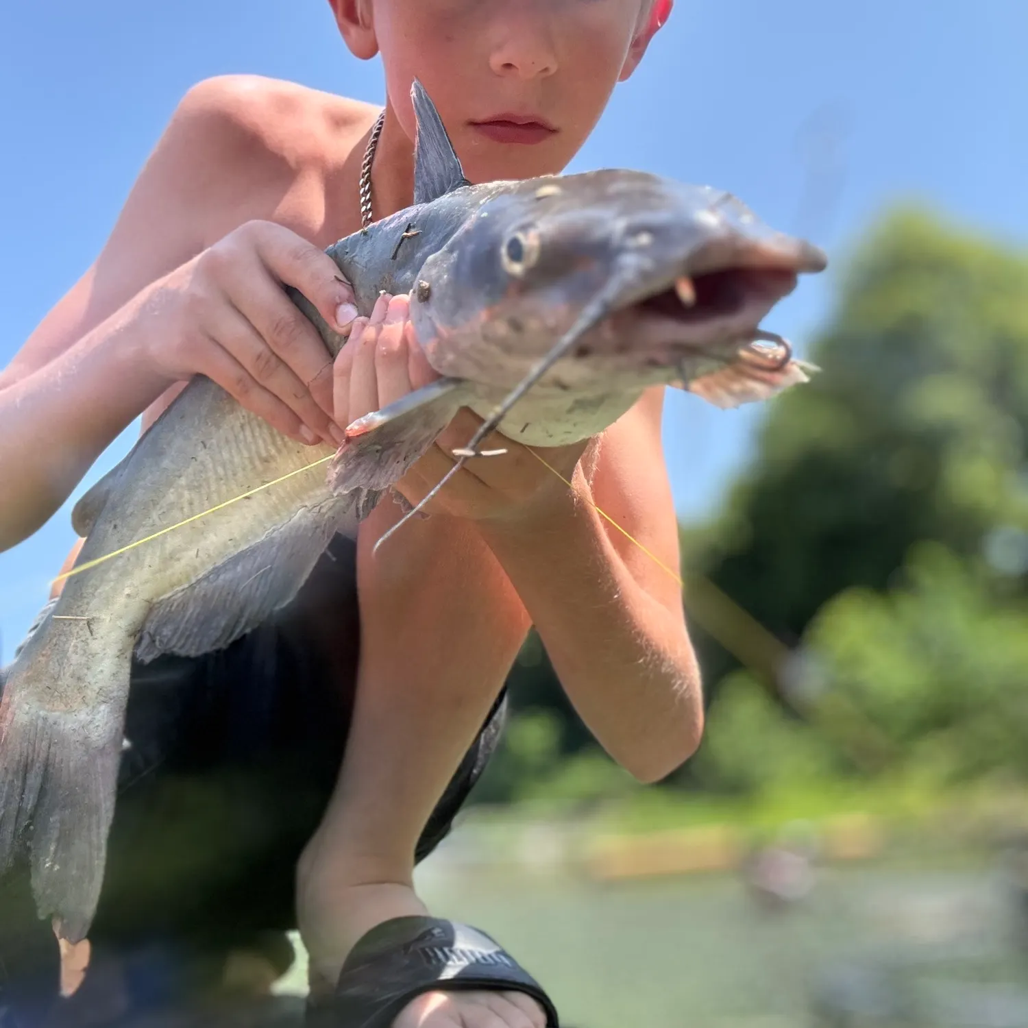 catch