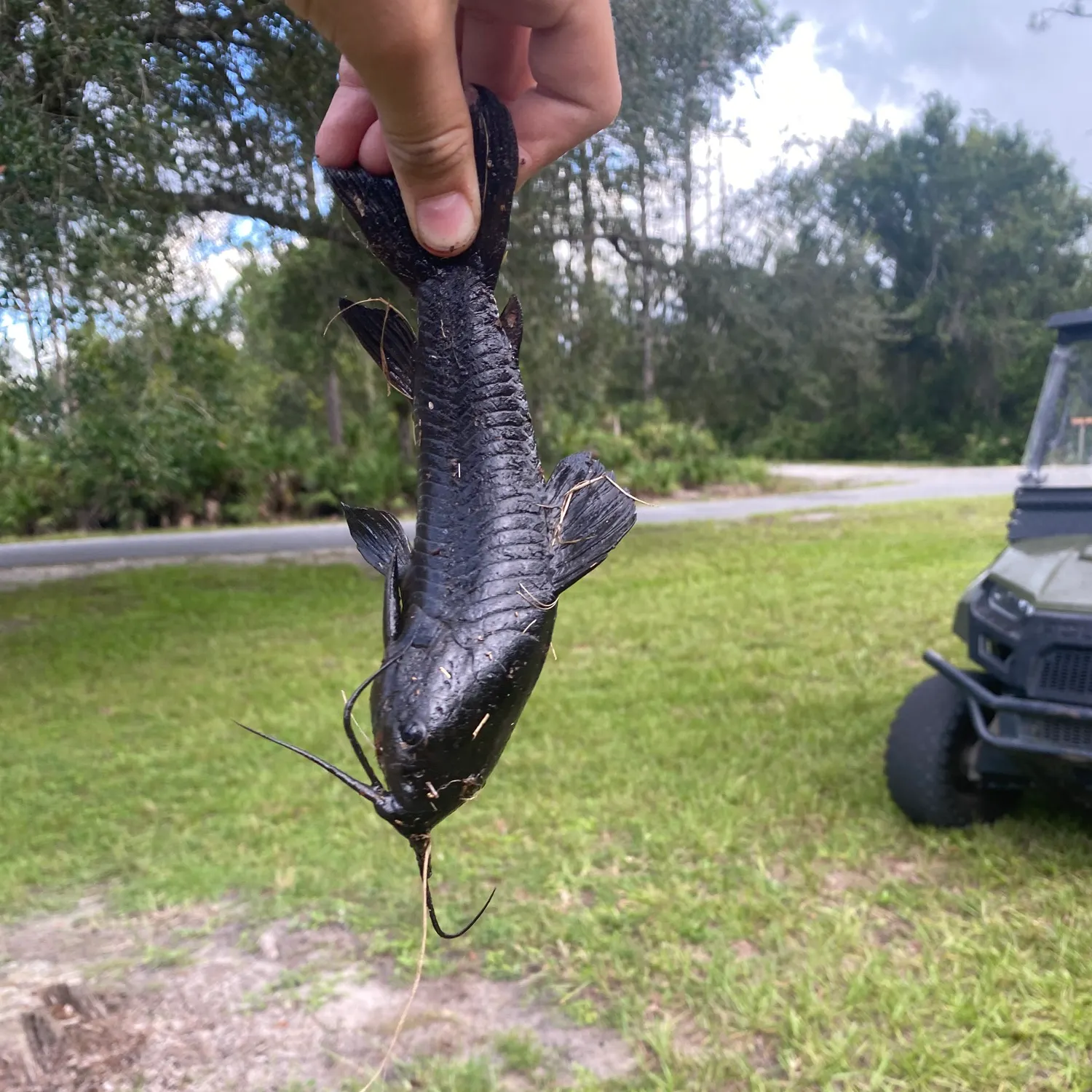 Fish caught on Fishbrain