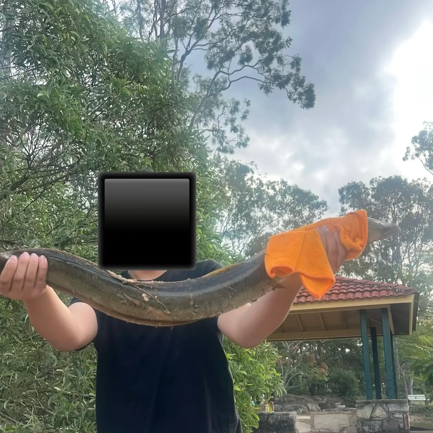 The most recent Speckled longfin eel catches on Fishbrain
