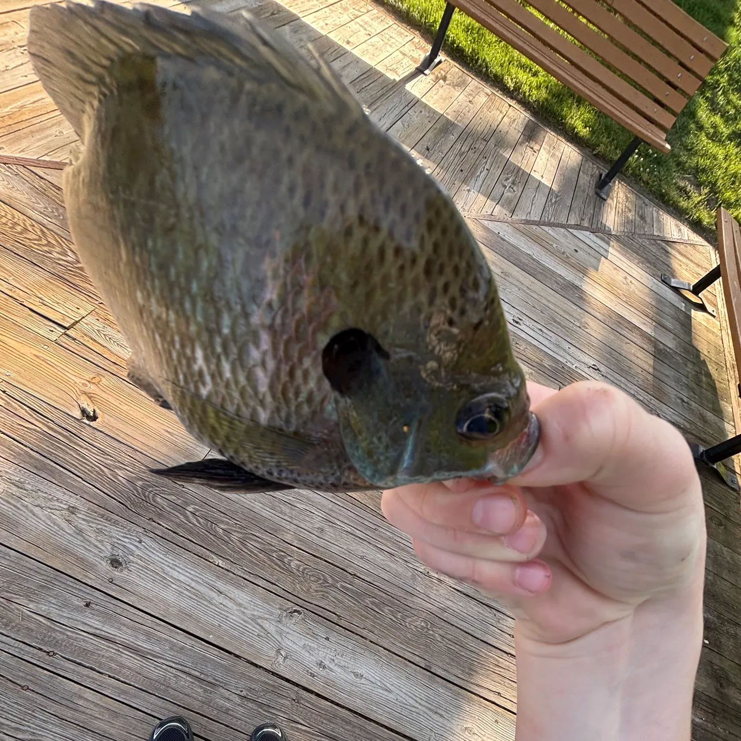 catch