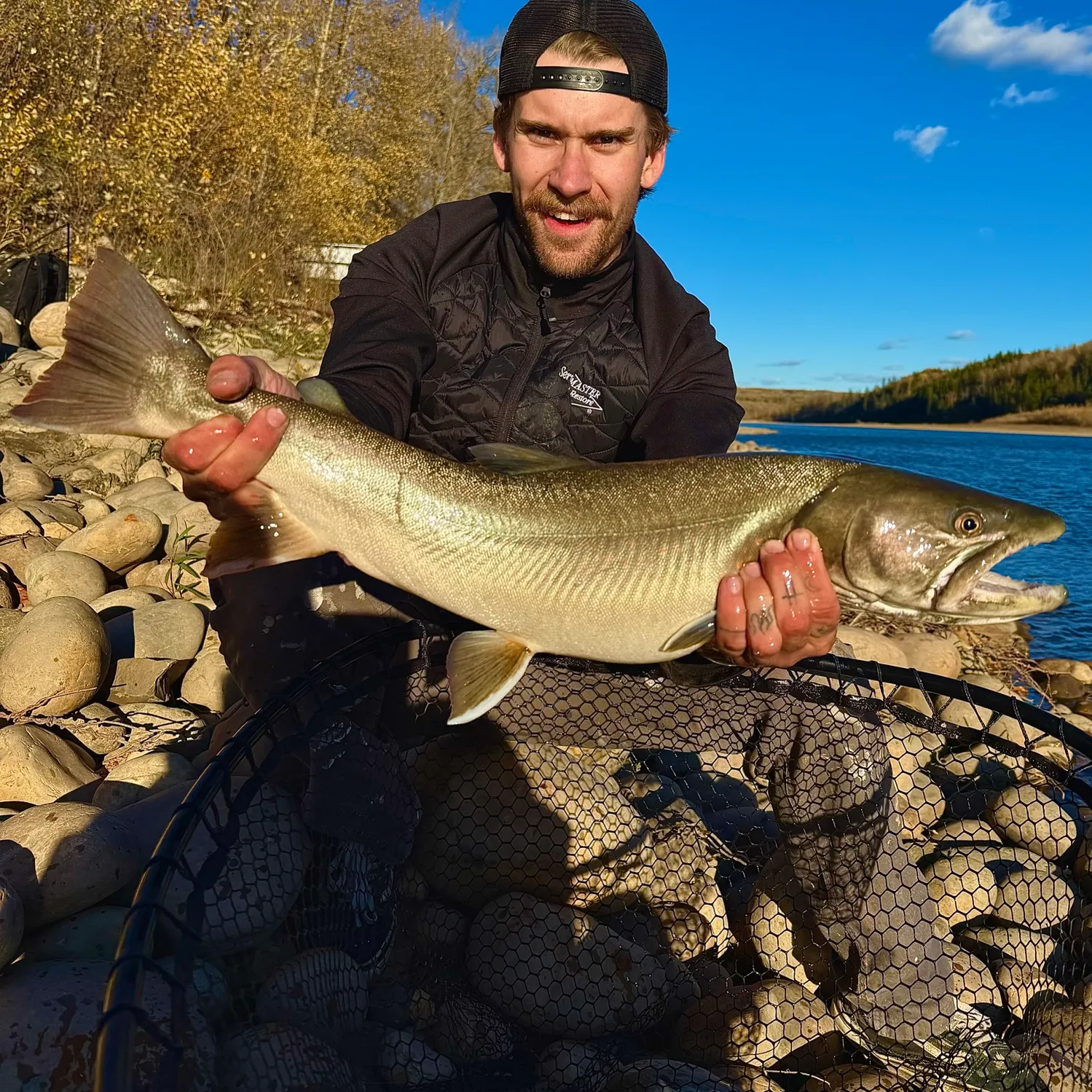 Bull trout caught on Fishbrain