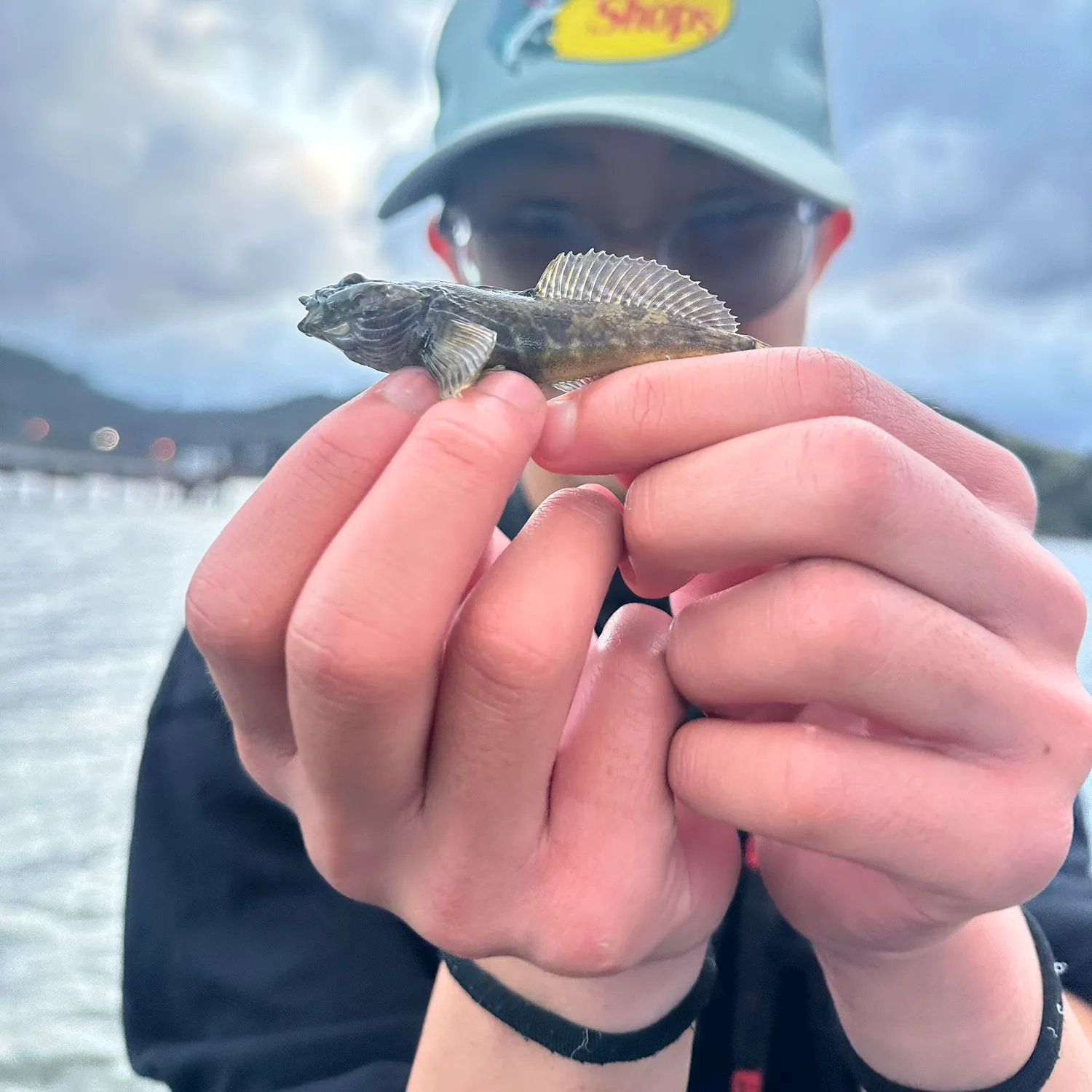 The most recent Prickly sculpin catches on Fishbrain
