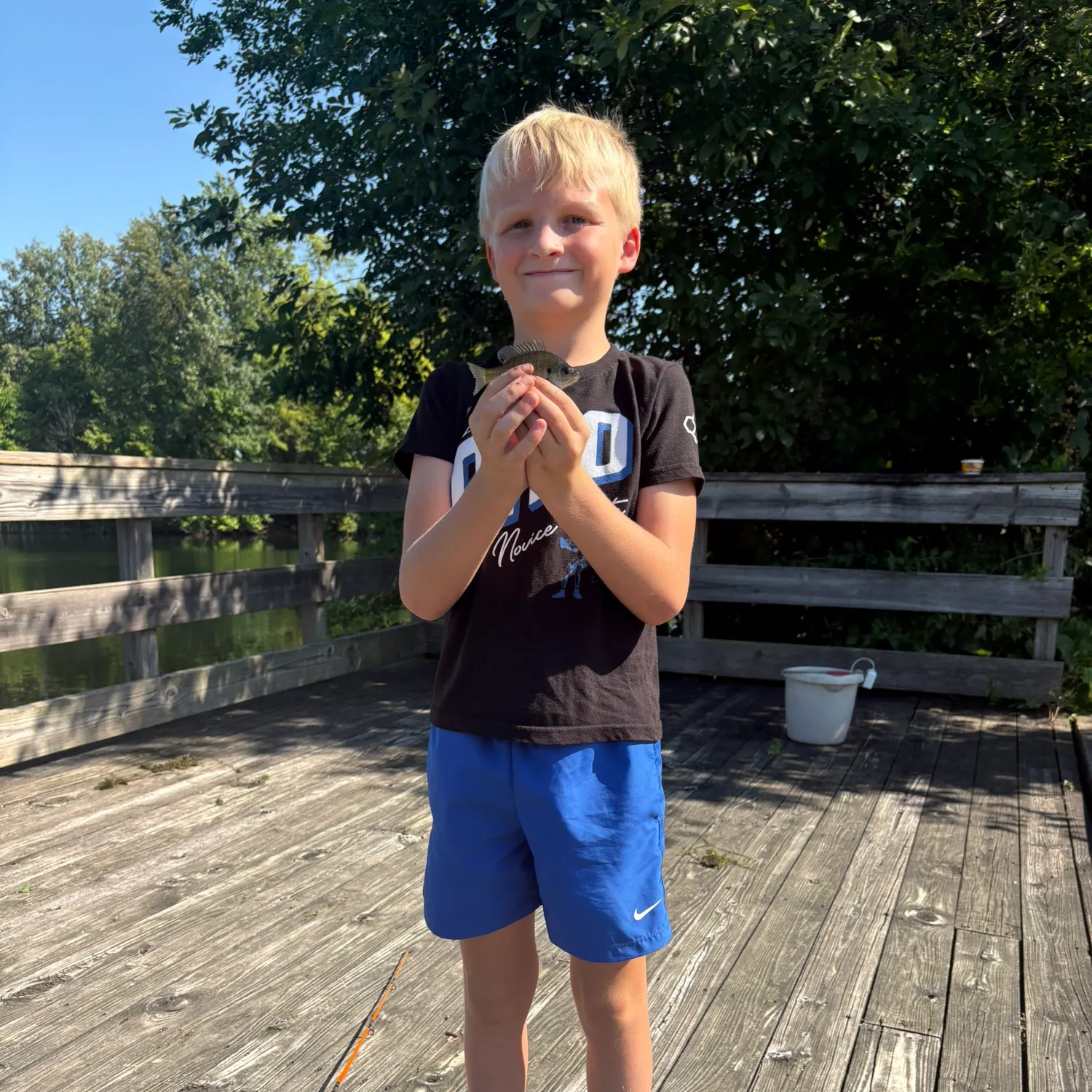 Bluegill caught on Fishbrain