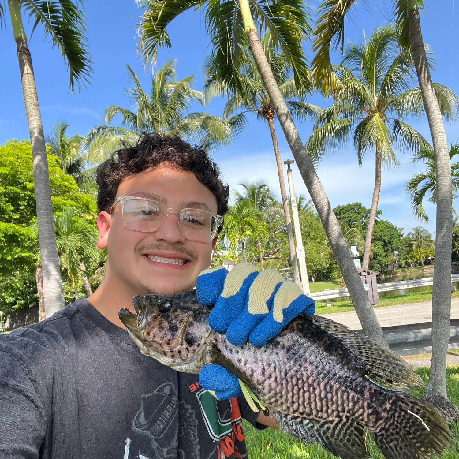 Jaguar cichlid caught on Fishbrain