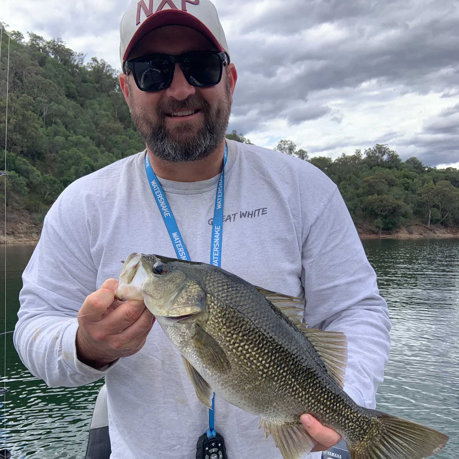 Australian bass caught on Fishbrain