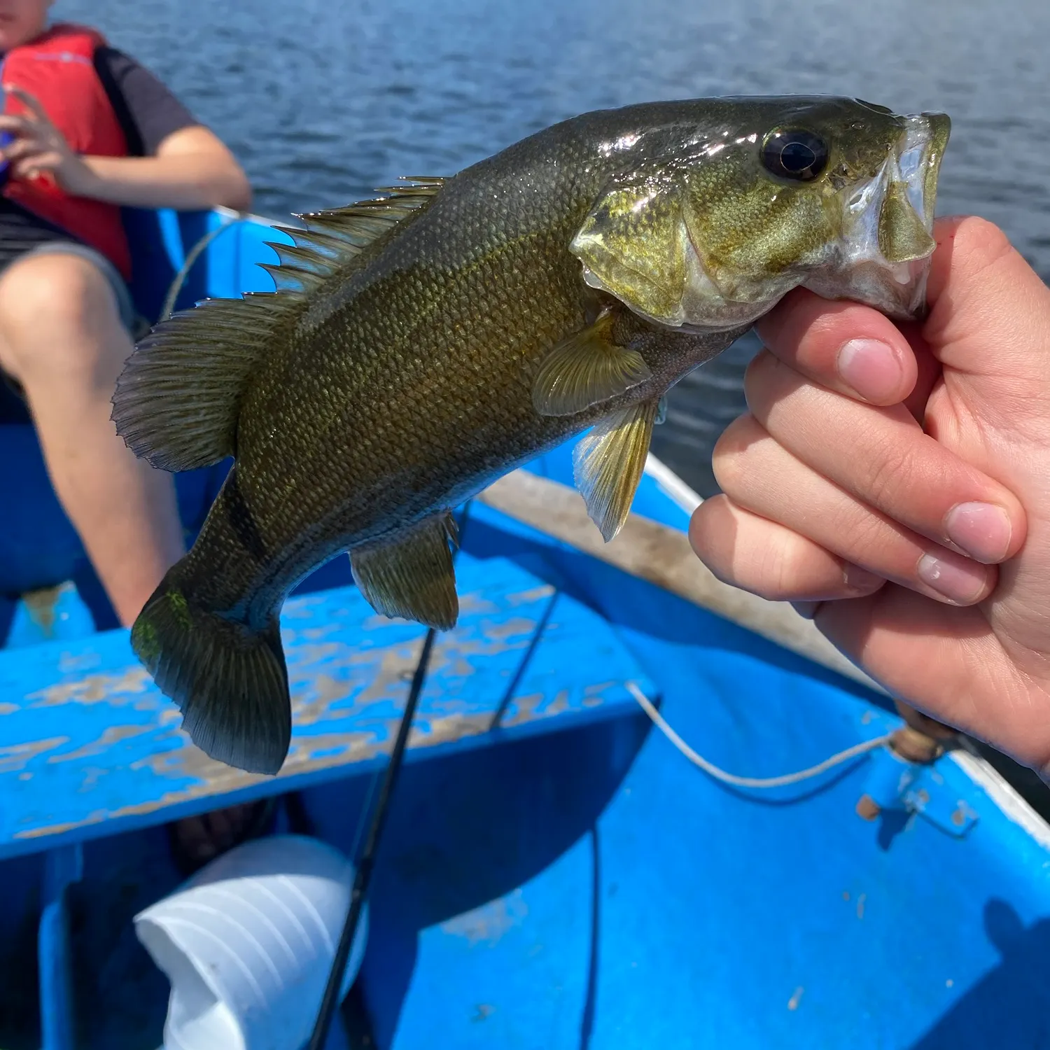 Smallmouth bass caught on Fishbrain
