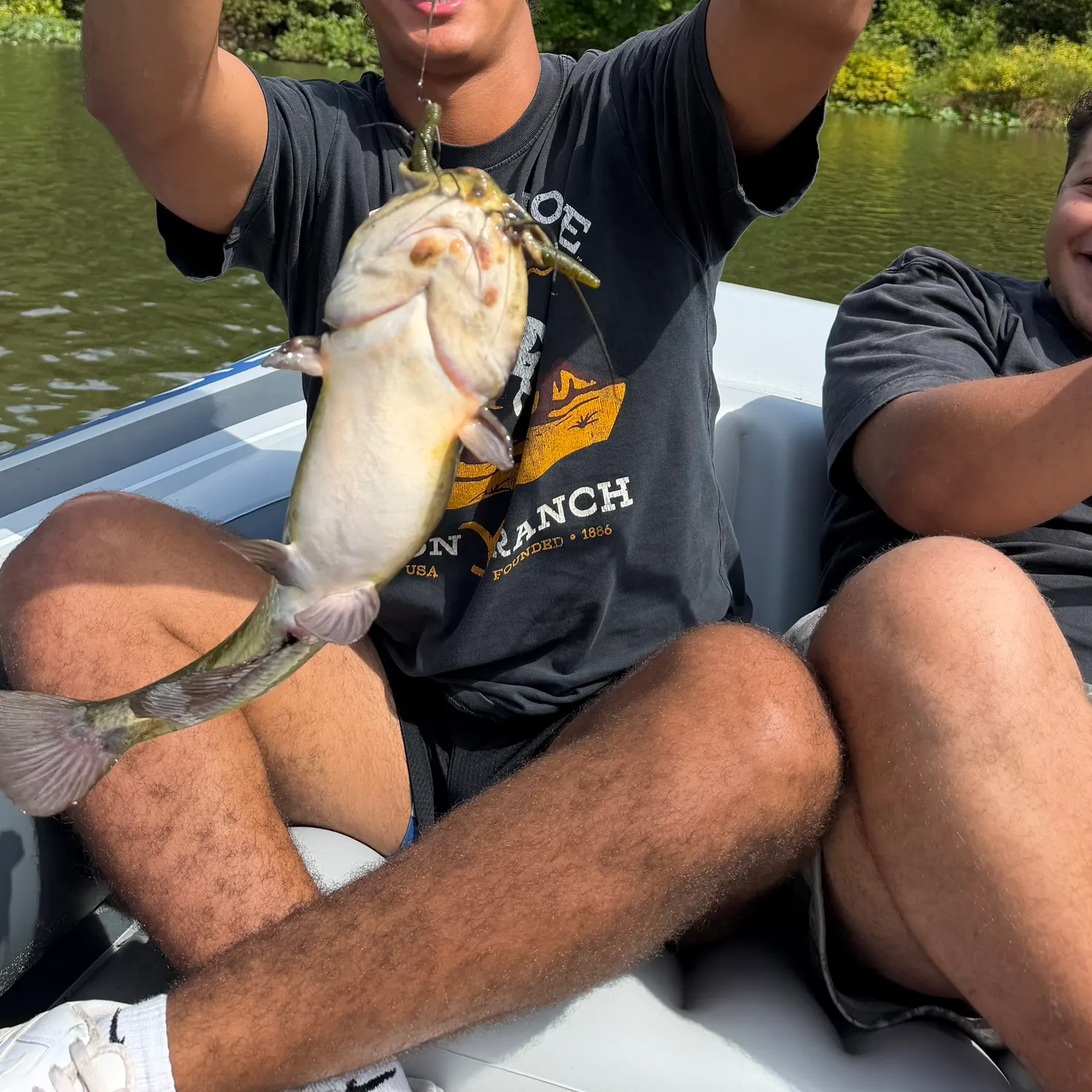 Channel catfish caught on Fishbrain