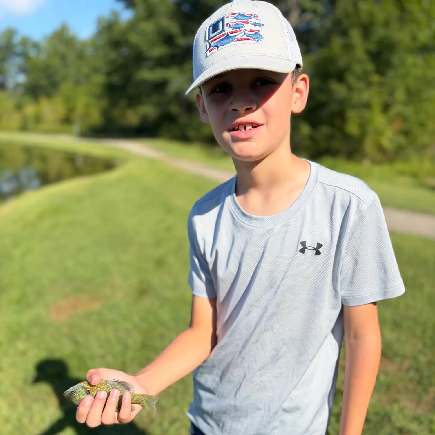 Bluegill caught on Fishbrain