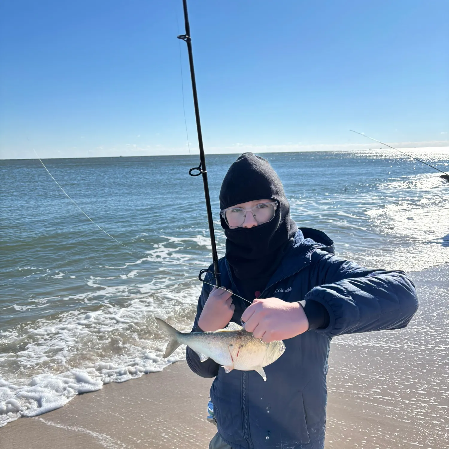 The most recent Atlantic menhaden catches on Fishbrain