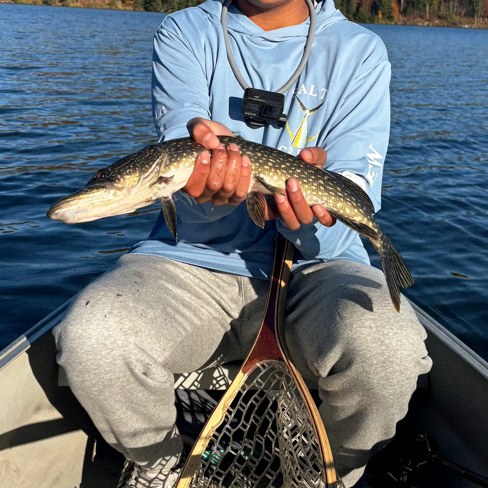 Northern pike caught on Fishbrain